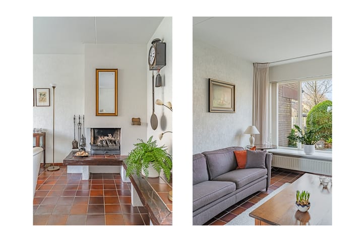 Foto 15 van Vleugeltjesbloem 2