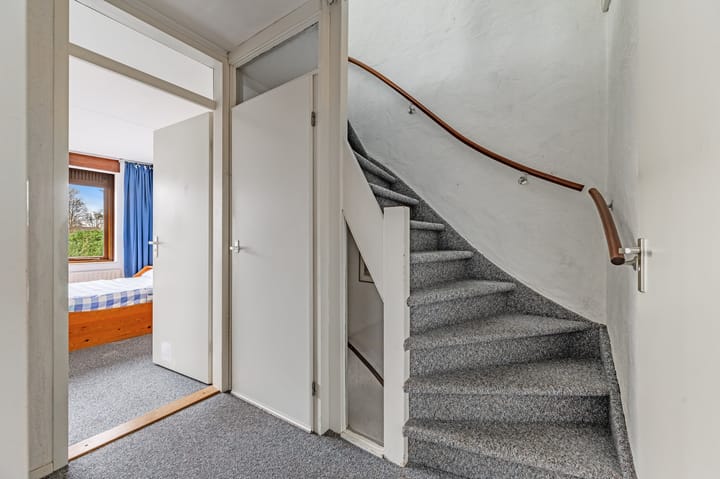 Foto 22 van Vleugeltjesbloem 2