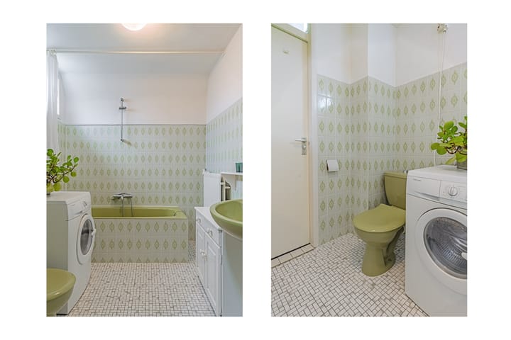 Foto 36 van Vleugeltjesbloem 2