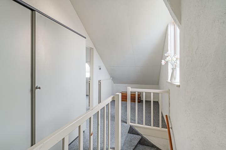 Foto 38 van Vleugeltjesbloem 2