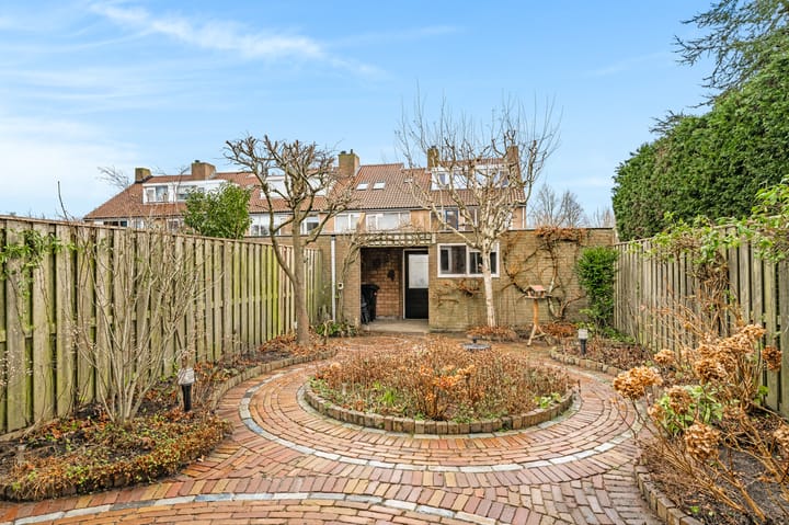 Foto 43 van Vleugeltjesbloem 2