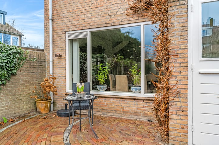 Foto 47 van Vleugeltjesbloem 2