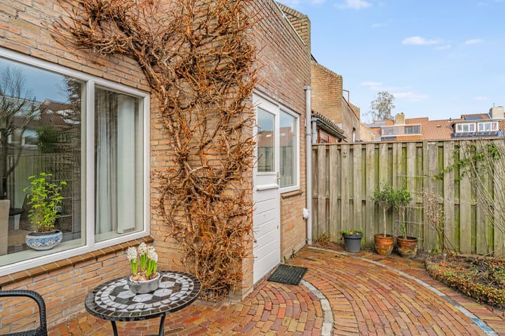 Foto 48 van Vleugeltjesbloem 2