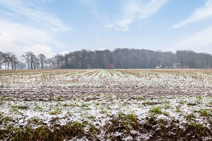 Foto 35 van Toernooistraat 14