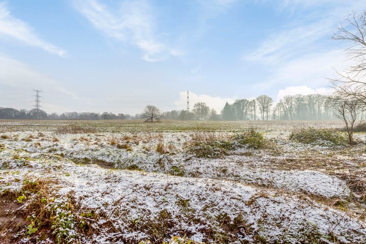 Foto 38 van Toernooistraat 14