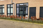 vrije-sector-woningen te huur op Florijnhof 10