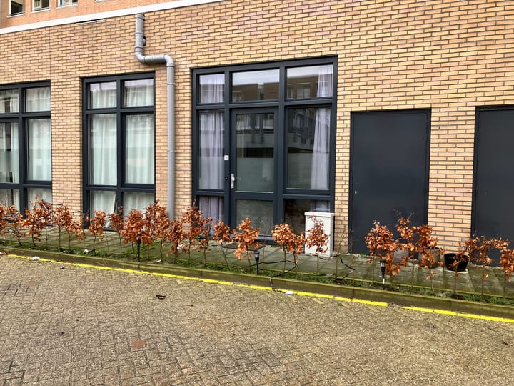 Florijnhof 10