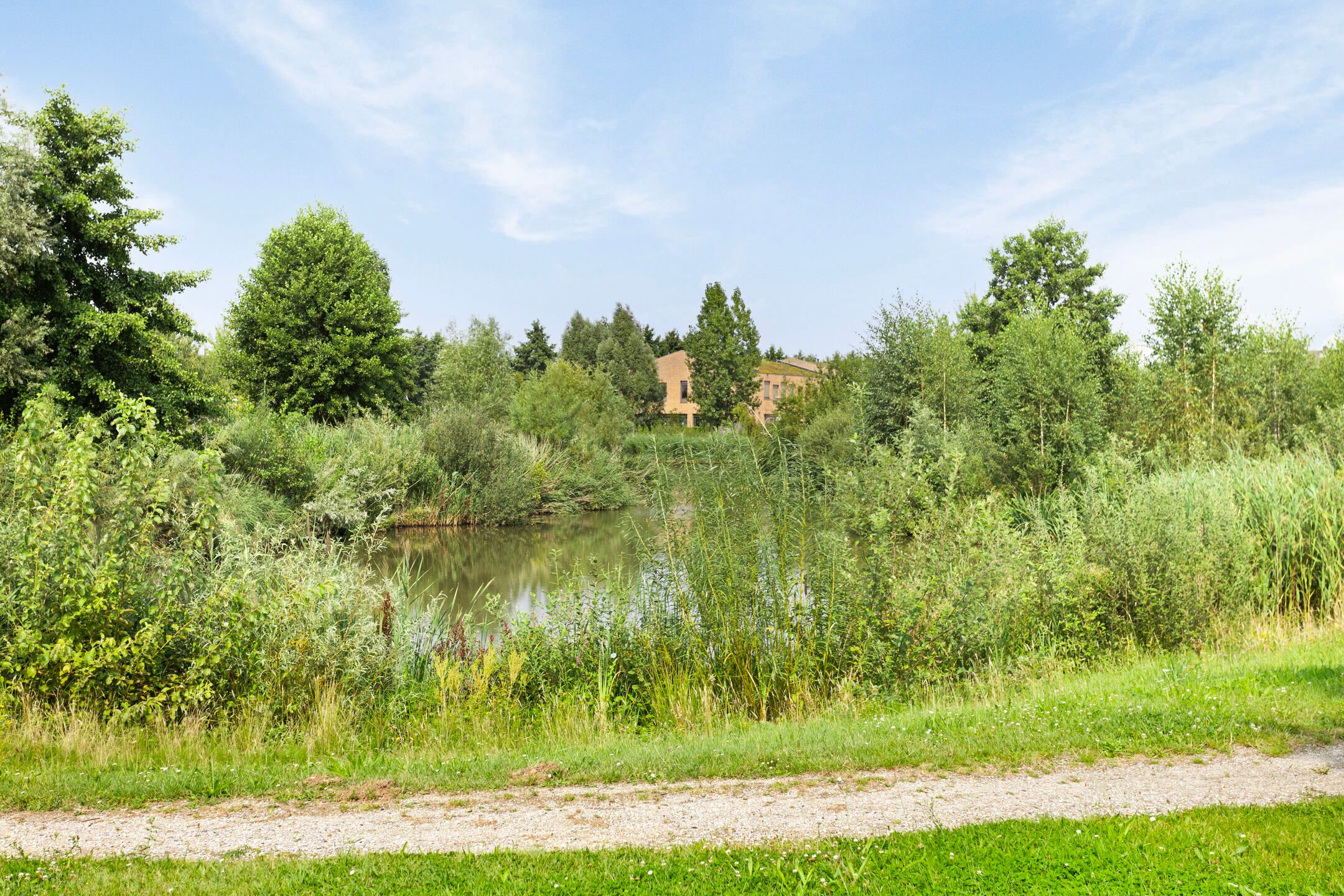 Foto 27 van de Lingert 5206-C