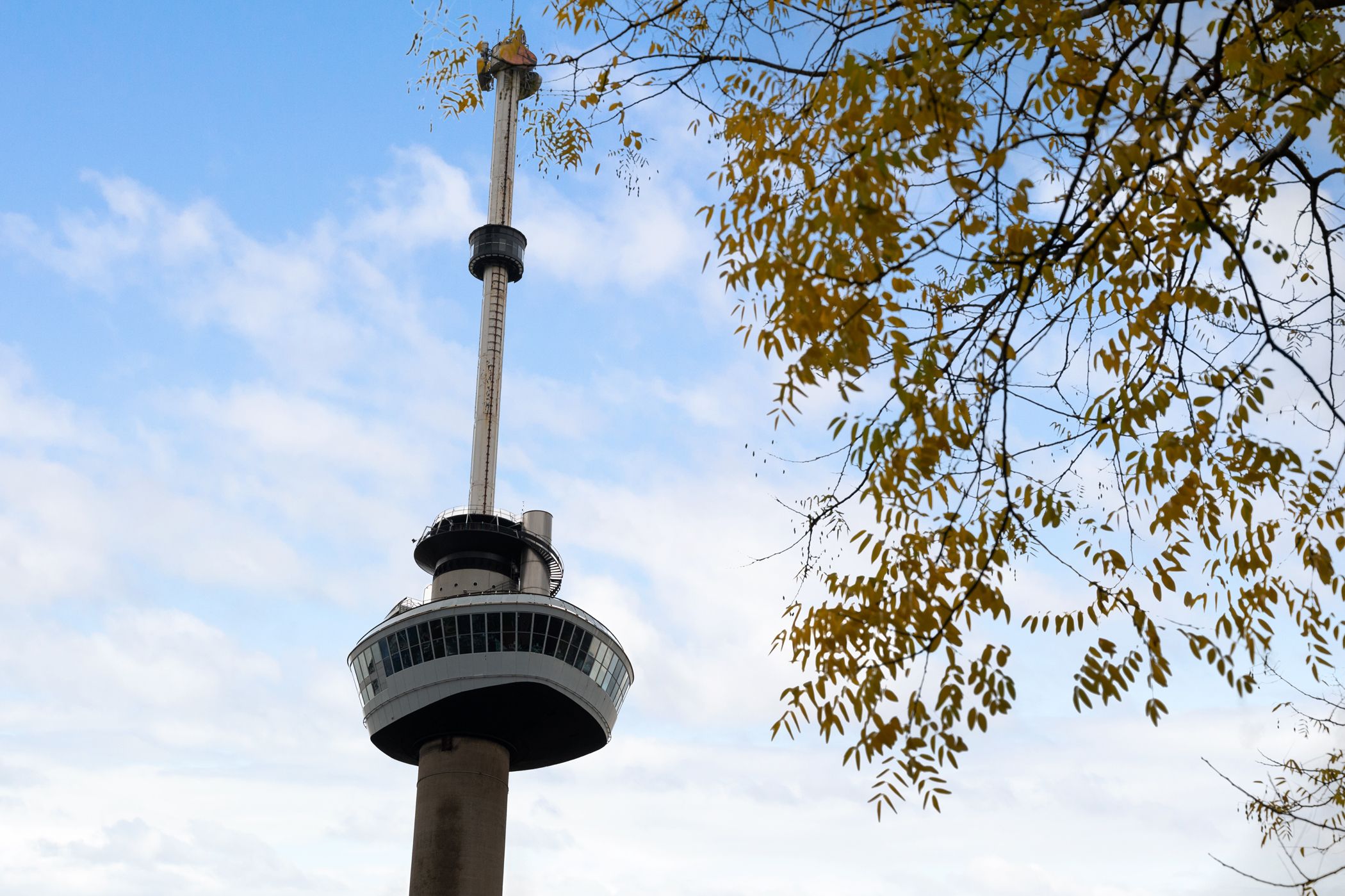 Foto 21 van Sint-Jobskade 52