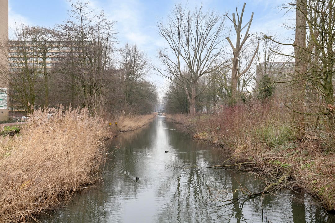 Foto 28 van Langswater 73