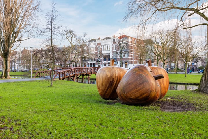 Foto 30 van Joost van Geelstraat 29-A02