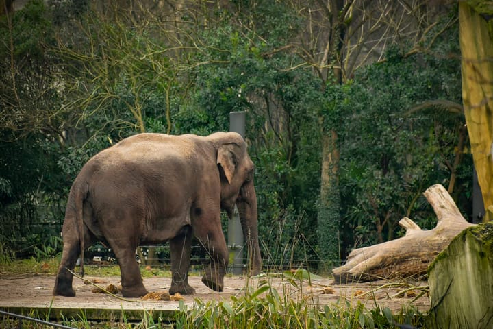 Foto 20 van Laagte Kadijk 36-C