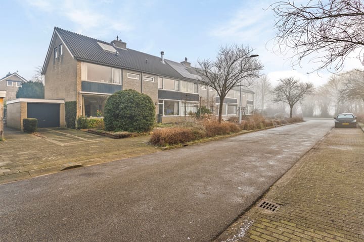 Foto 2 van Buizerdstraat 75