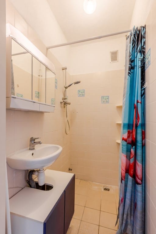 Foto 14 van Rooseveltlaan 207