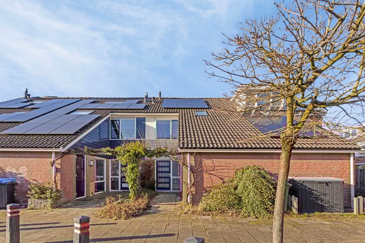 Foto 2 van Pijlkruid 16