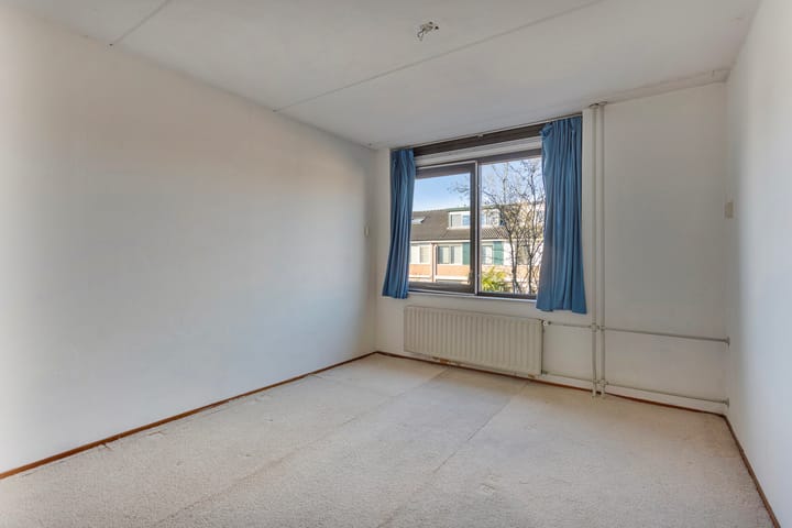 Foto 15 van Pijlkruid 16