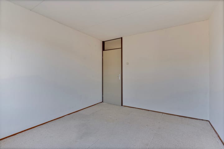 Foto 16 van Pijlkruid 16