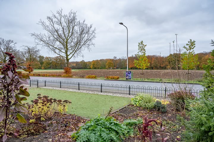 Foto 7 van de Horsterkamp 1