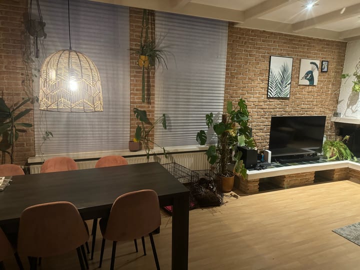 Foto 5 van Zuiddijk 63-A