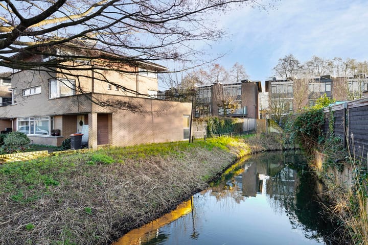 Foto 46 van Heelkruid 32