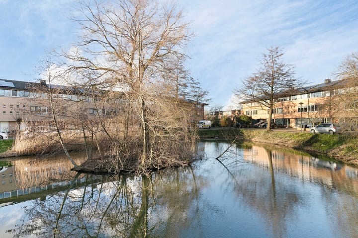 Foto 47 van Heelkruid 32