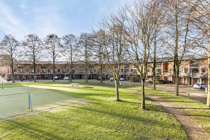 Foto 48 van Heelkruid 32