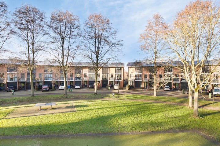 Foto 55 van Heelkruid 32