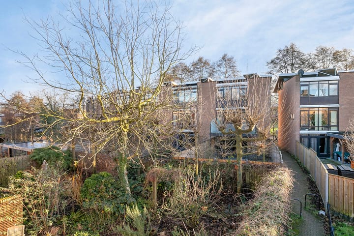 Foto 57 van Heelkruid 32