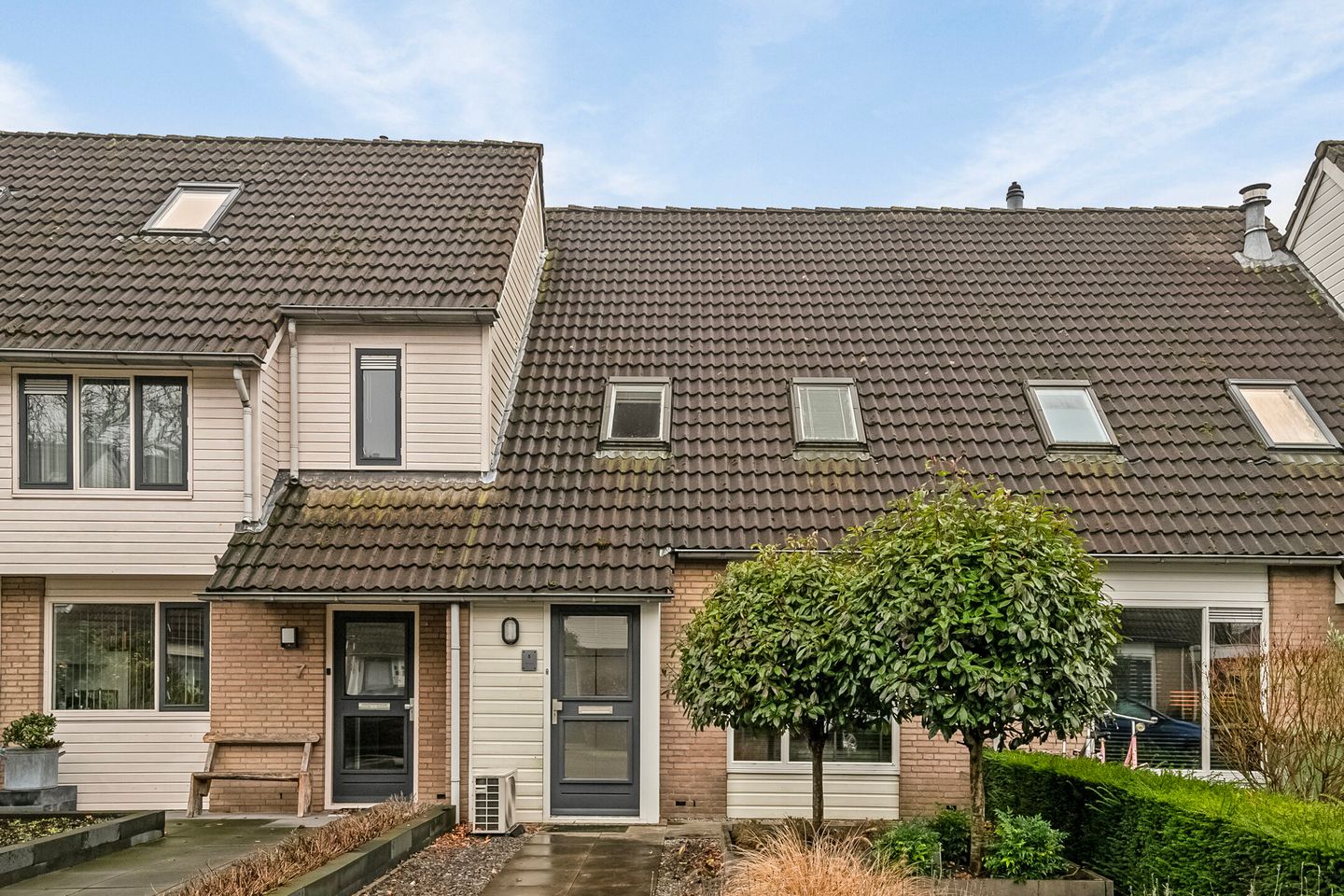 Foto 1 van Druivelaar 5