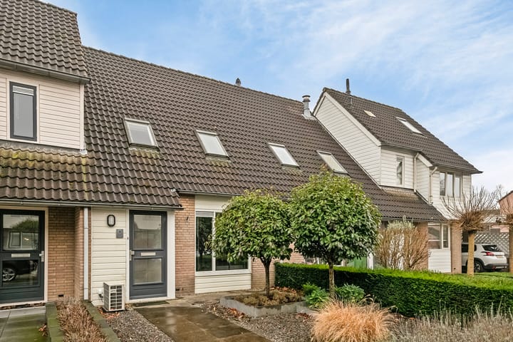 Foto 2 van Druivelaar 5