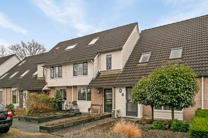 Foto 3 van Druivelaar 5