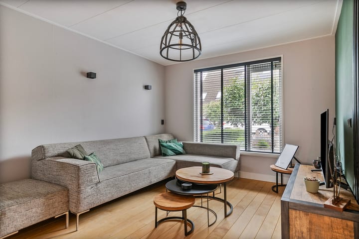 Foto 5 van Druivelaar 5