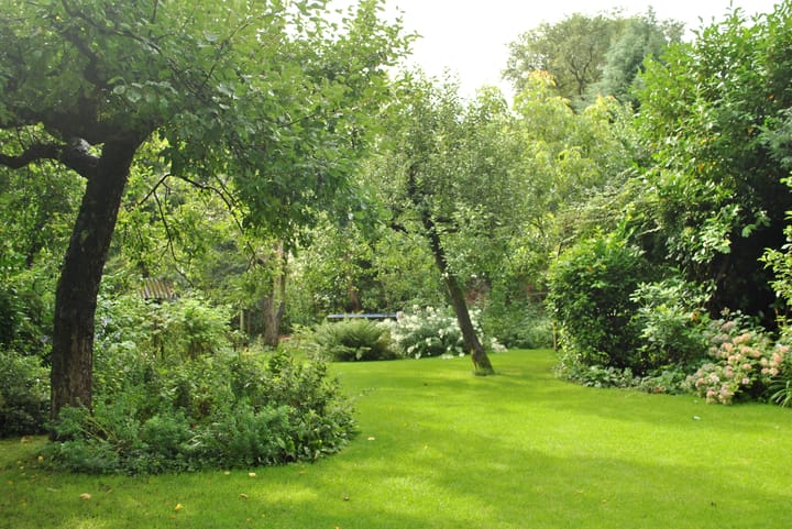 Foto 48 van Koningin Sophialaan 6