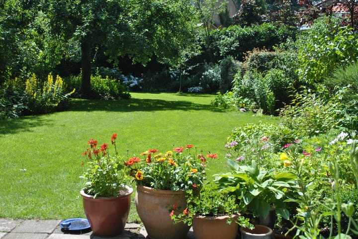 Foto 50 van Koningin Sophialaan 6