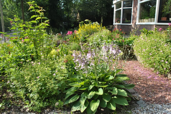 Foto 51 van Koningin Sophialaan 6