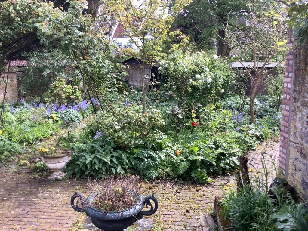 Photo 47 of Wagenaarstraat 8