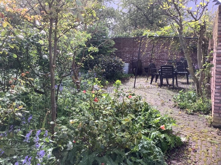 Foto 48 van Wagenaarstraat 8