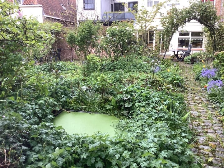 Foto 49 van Wagenaarstraat 8