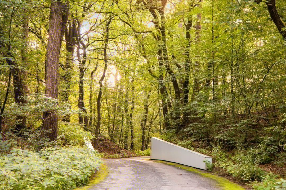 Foto 7 van Berg en Dalweg 32