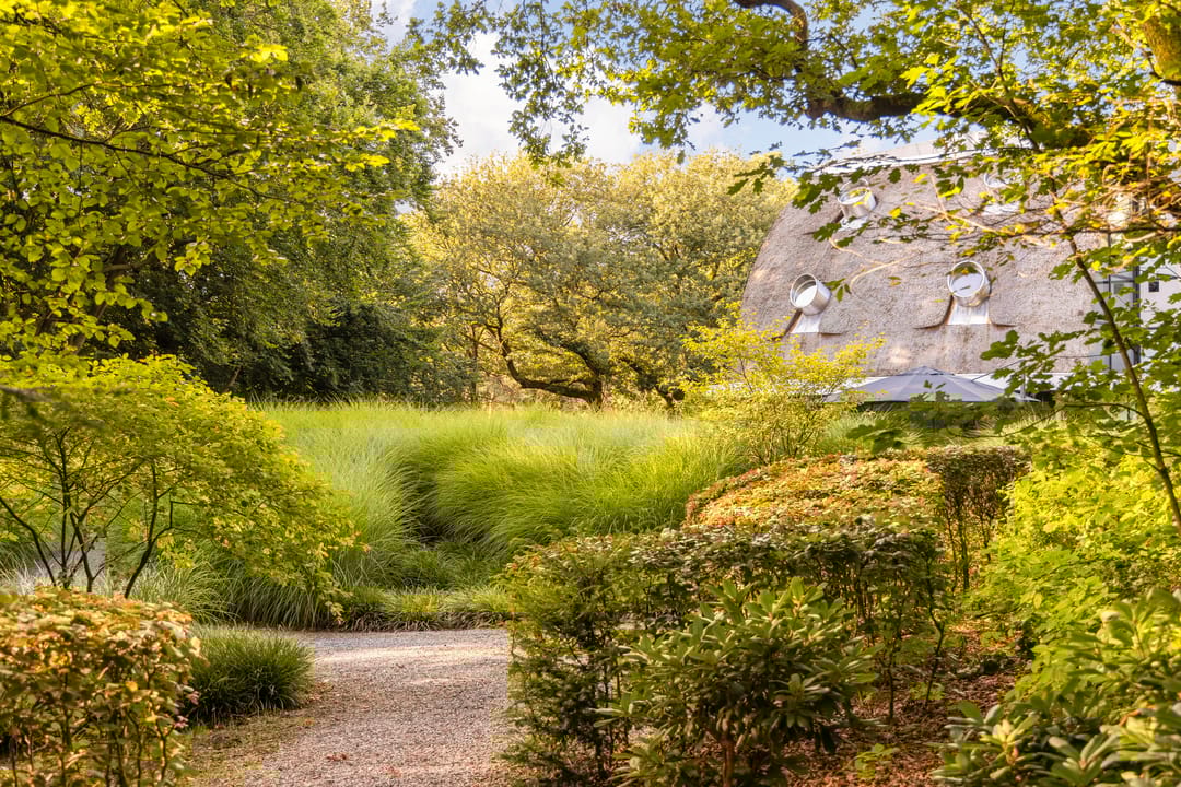 Foto 8 van Berg en Dalweg 32