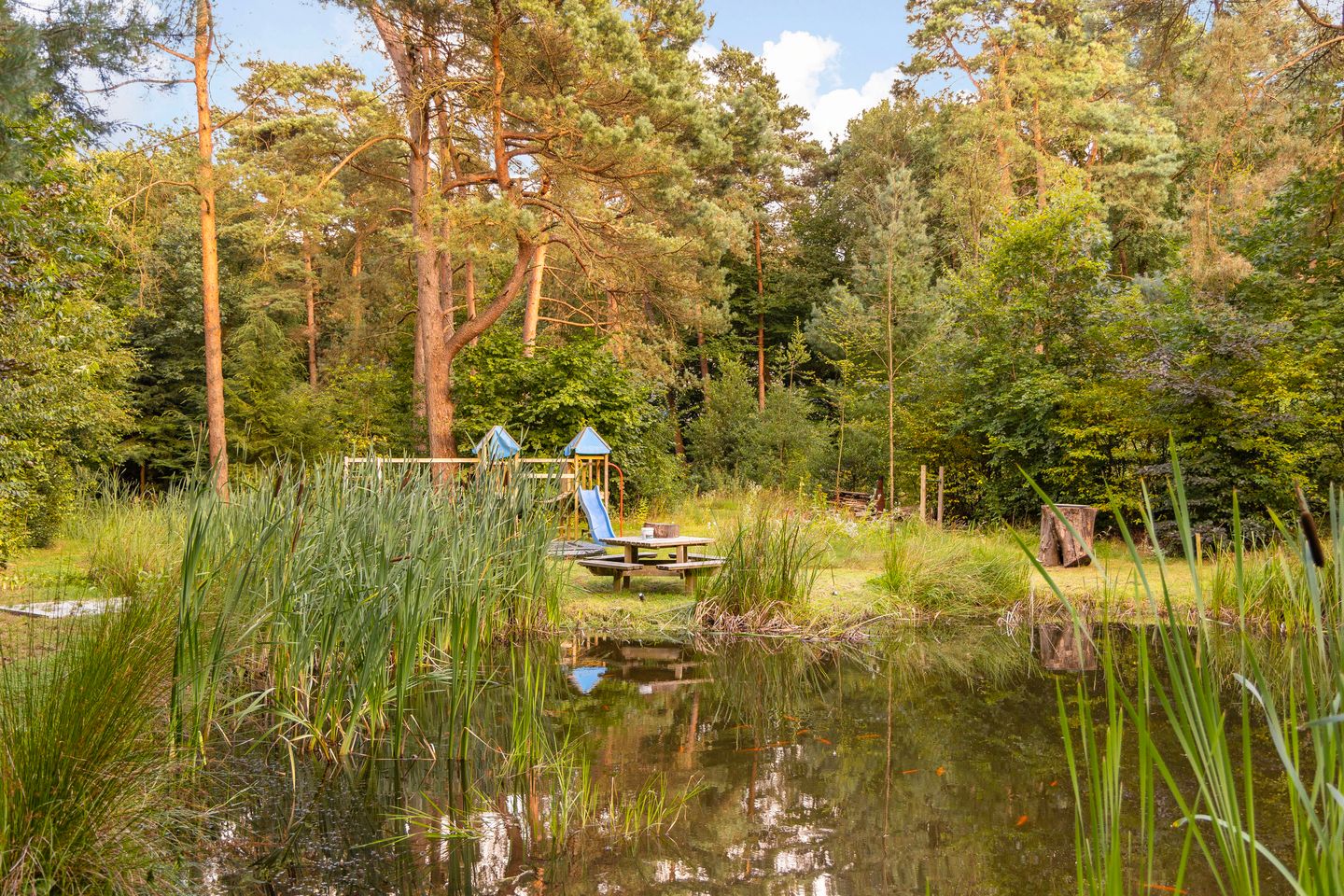 Foto 59 van Berg en Dalweg 32