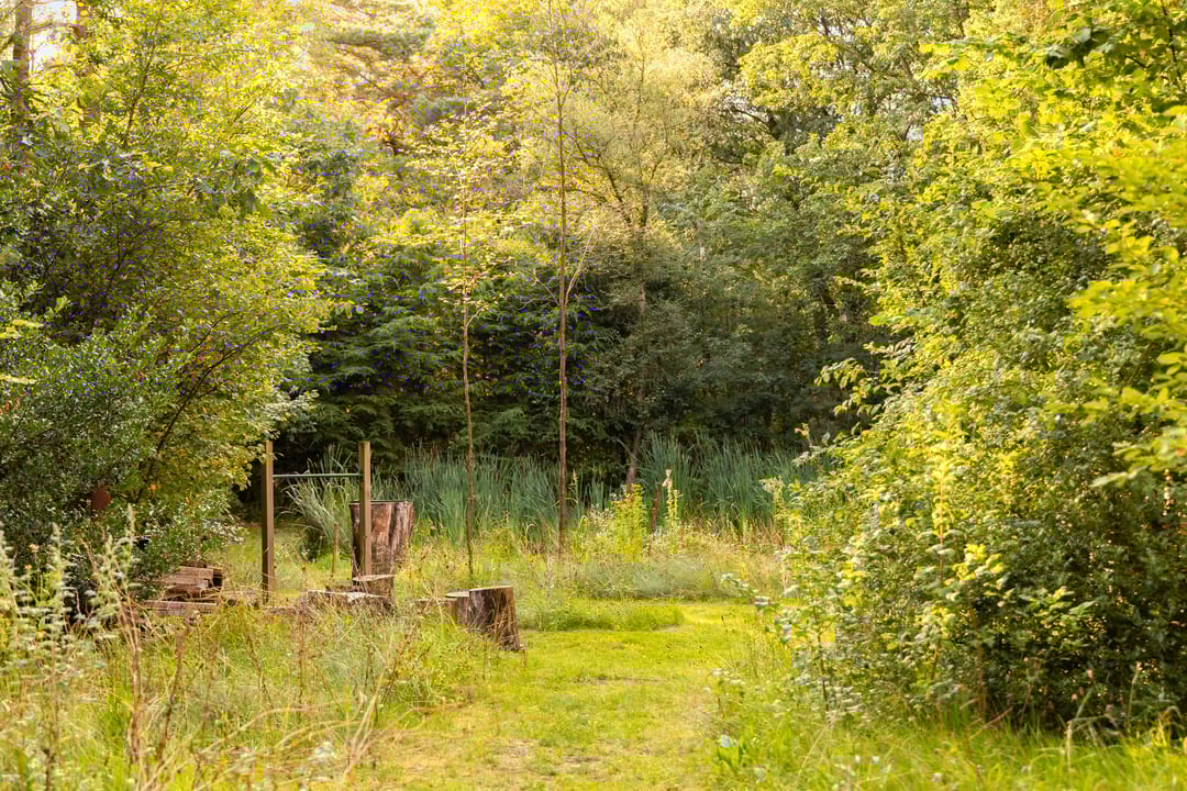 Foto 61 van Berg en Dalweg 32