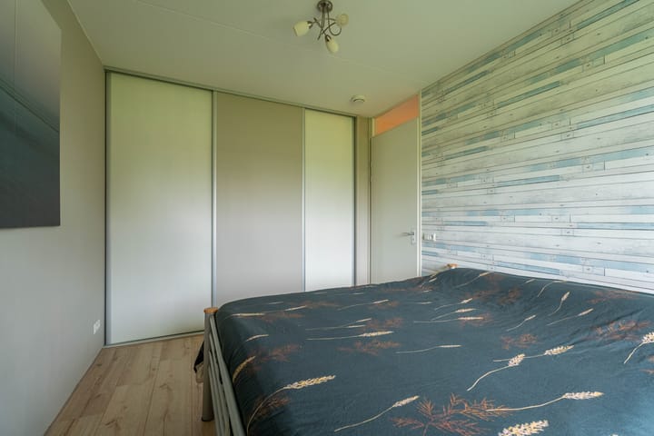 Foto 9 van Buxushaag 2