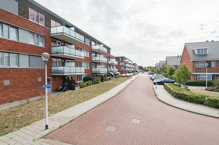 Foto 18 van Buxushaag 2