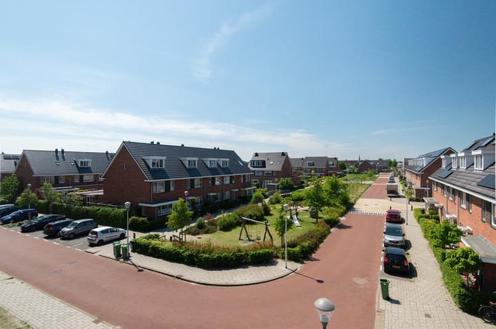 Foto 22 van Buxushaag 2