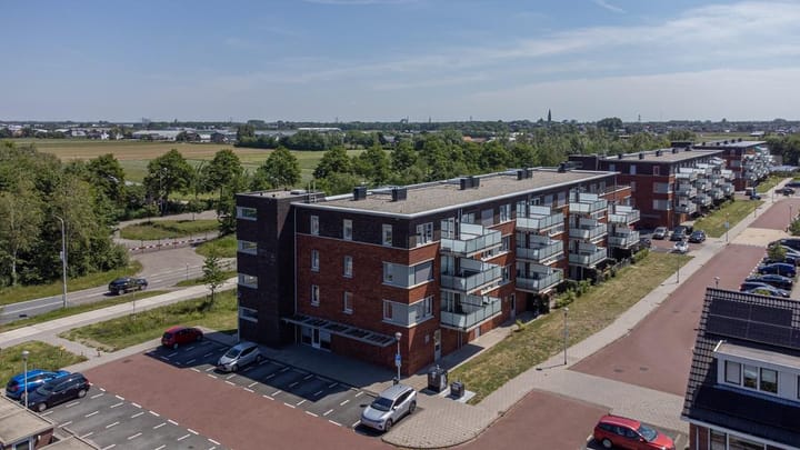 Foto 21 van Buxushaag 2