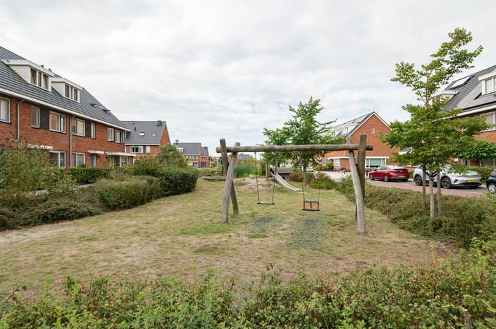 Foto 23 van Buxushaag 2