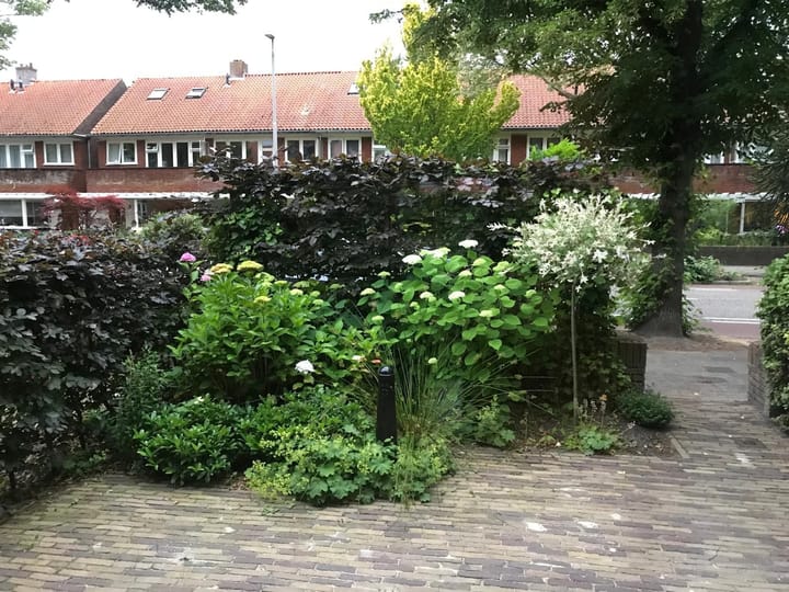 Foto 39 van Goudenregenstraat 30