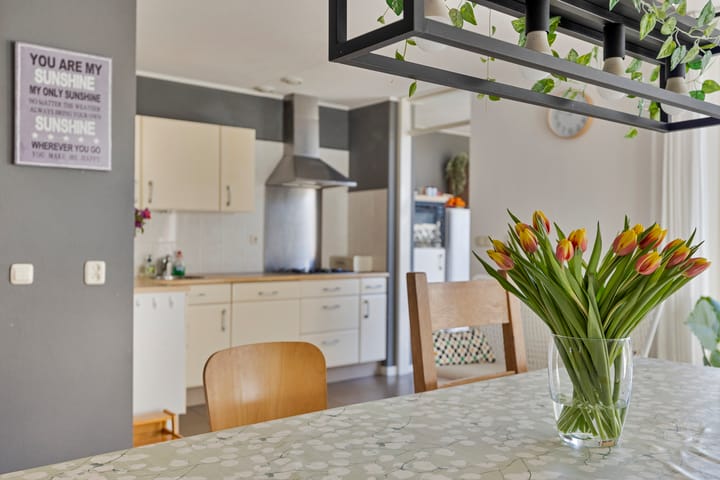 Foto 8 van Zeekraal 40