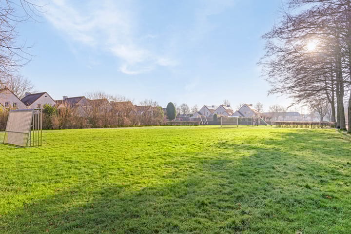 Foto 42 van de Weertjes 1016